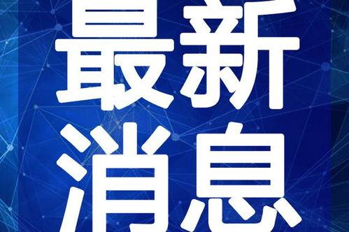 最新偷鱼爆料新闻视频下载,视频揭秘惊人内幕,偷鱼团伙作案手法曝光